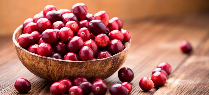 Study Highlights Benefits of Cranberries for Brain Health