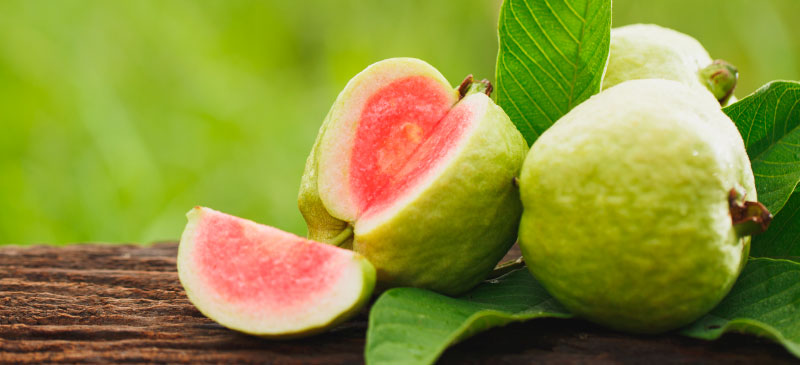 Guava: Powerful Antioxidant Food for Your Immune System