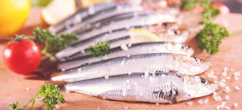 Sardines Nutrition: Top 9 Reasons You Don’t Want to Miss Out On
