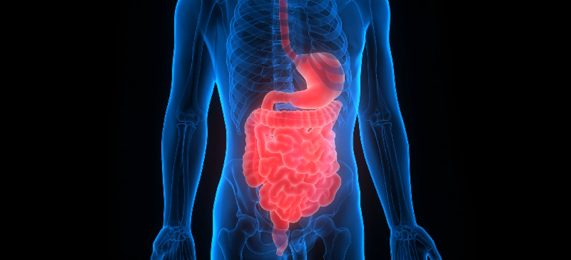 How to Avoid Digestive Enzymes Side Effects