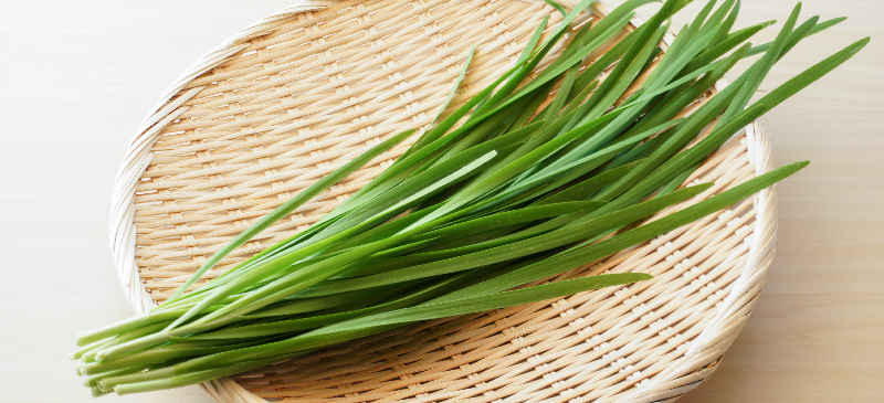 What Are Chives? How to Grow, Harvest & Use This Beneficial Vegetable