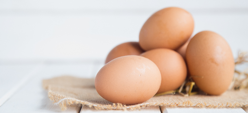 Egg Nutrition Facts & Health Benefits Explain Why It’s a Superior Food