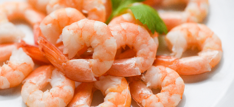 Shrimp Nutrition: Is Shrimp Healthy or Harmful to Your Health?