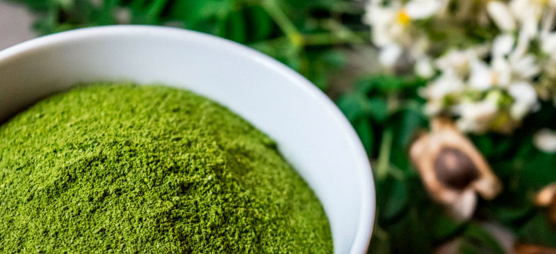 Moringa Benefits Hormonal Balance, Digestion, Mood & More