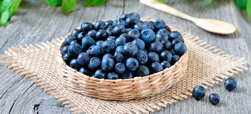 Bilberry: An In-Depth Exploration of its Nutritional Benefits
